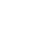 icons8-wordpress-100
